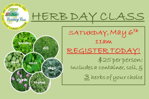 HerbDayClass_May_2017 Herb Day Class - East Coast Garden Center