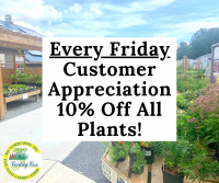 Customer Appreciation Friday - 10% Off Plants