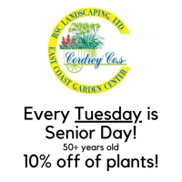 Senior Day - 10% Off Plants