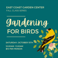 CLASS: Gardening For Birds