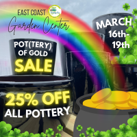 Pot(tery) of Gold Sale