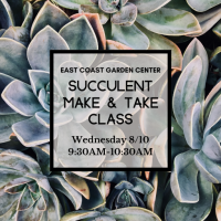 CLASS: Succulent Make &amp; Take