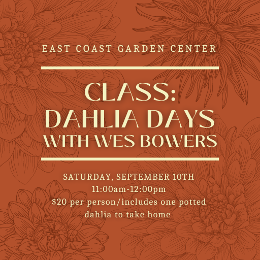 CLASS: Dahlia Days With Wes Bowers