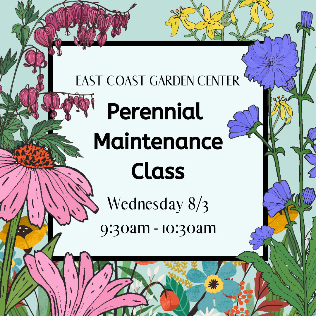 CLASS: Perennial Maintenace 