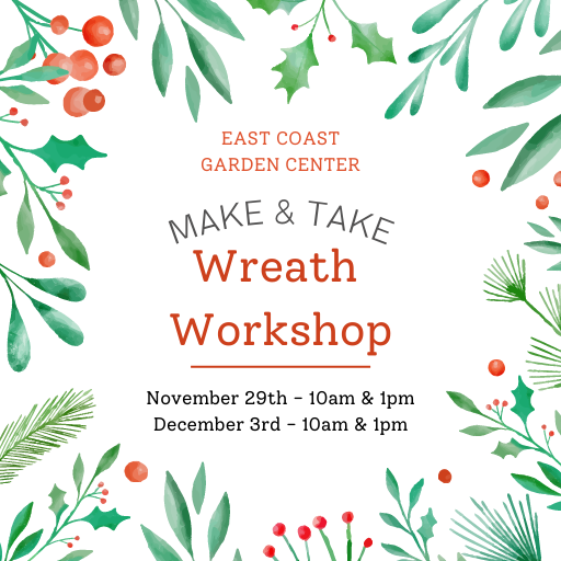 Wreath Workshop DEC. 3RD 1PM